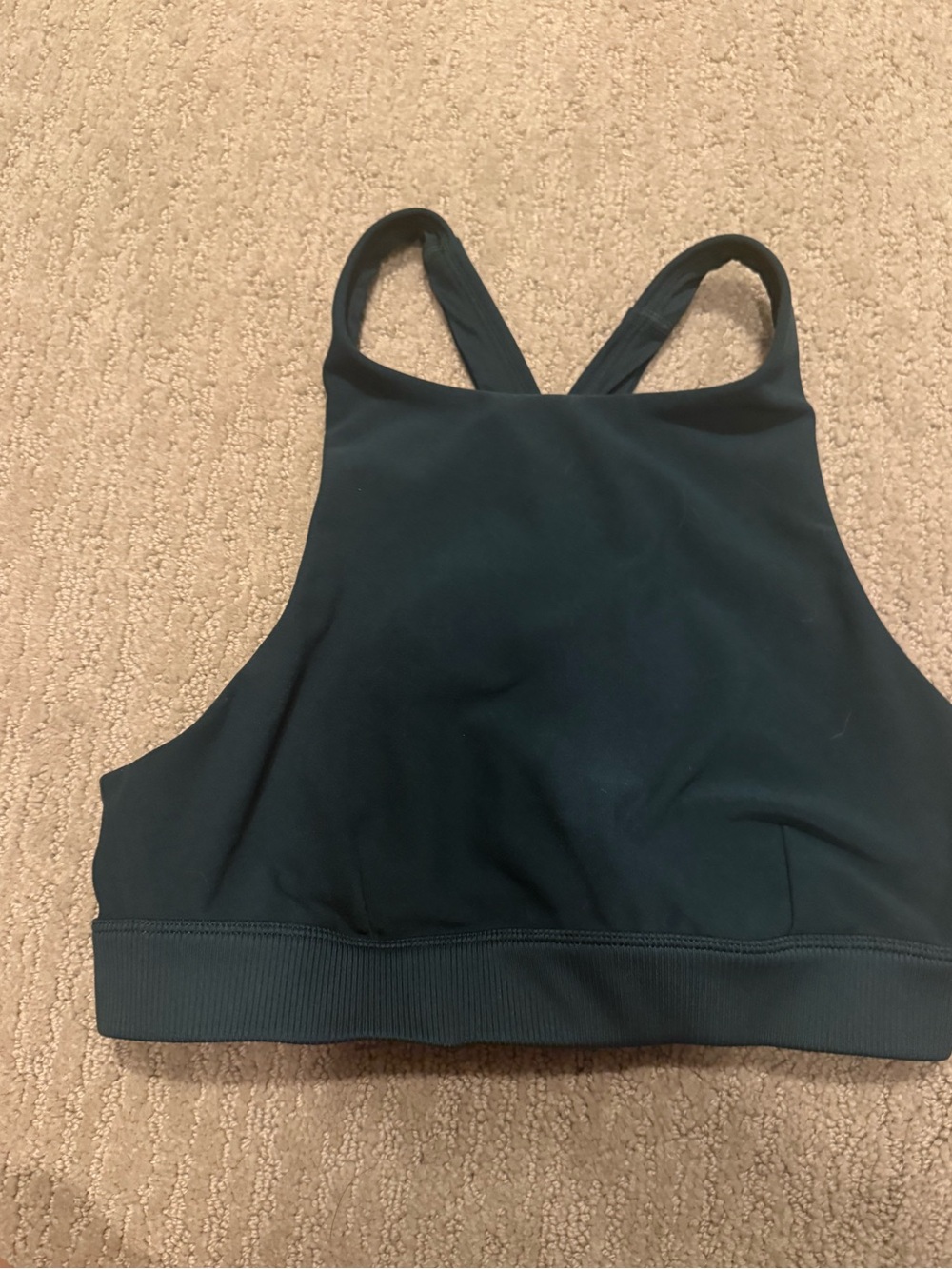 Alo Highneck sports bra